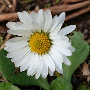 Meet your Posher, Glo